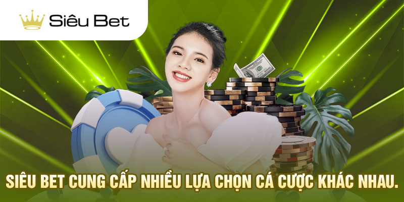 Siêu Bet cung cấp nhiều lựa chọn cá cược khác nhau